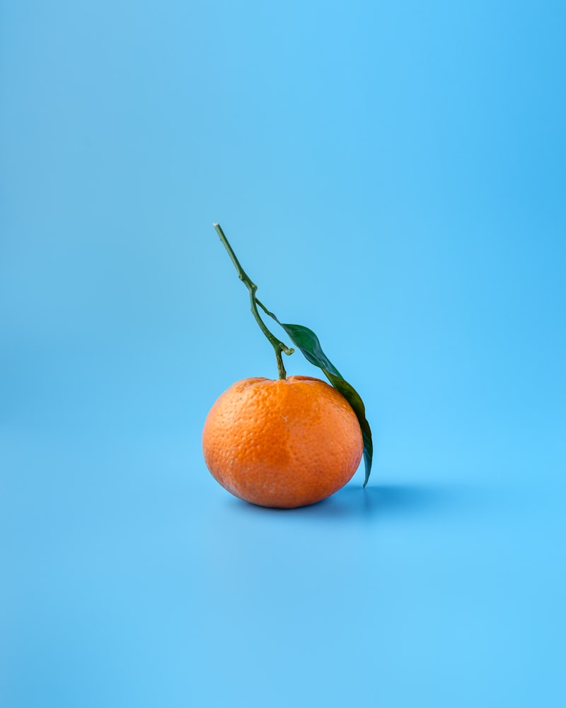 كاميرا EZVIZ C6N الذكية